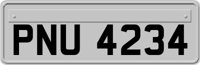 PNU4234