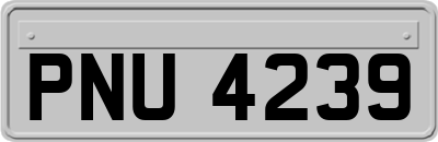 PNU4239