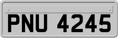 PNU4245