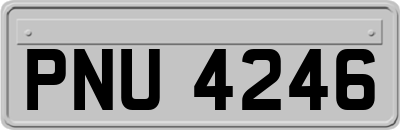 PNU4246