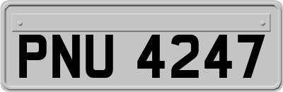 PNU4247