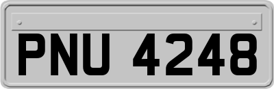 PNU4248