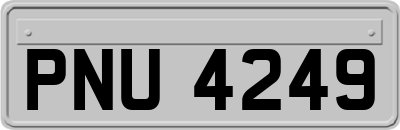 PNU4249
