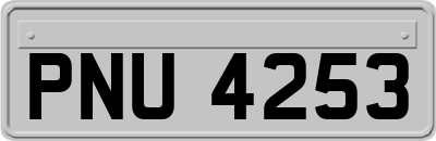 PNU4253
