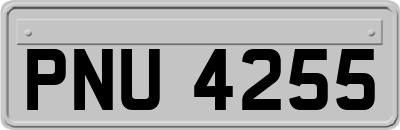 PNU4255