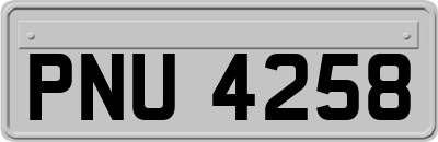PNU4258