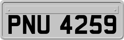 PNU4259