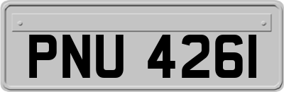 PNU4261