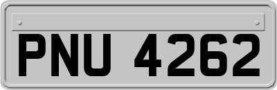 PNU4262