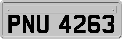 PNU4263