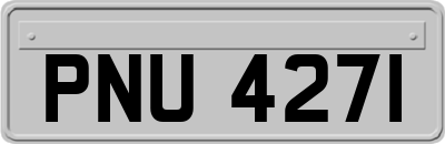 PNU4271