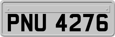 PNU4276