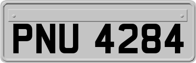 PNU4284