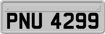 PNU4299