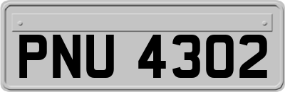 PNU4302