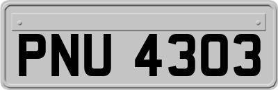 PNU4303