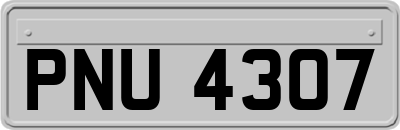 PNU4307