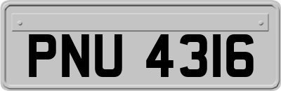 PNU4316