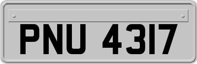 PNU4317