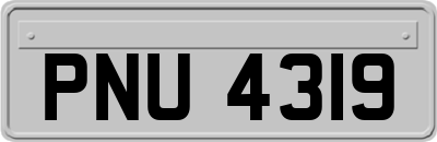 PNU4319