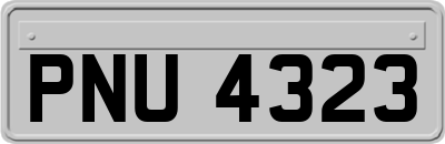 PNU4323