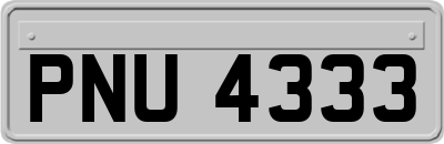 PNU4333