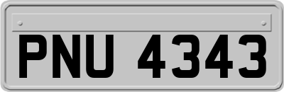 PNU4343