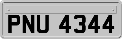 PNU4344