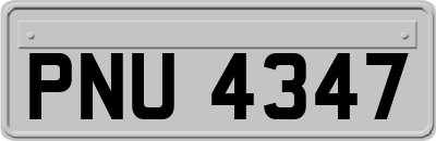 PNU4347