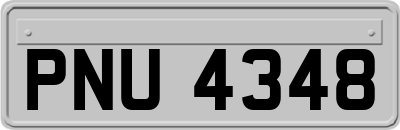 PNU4348