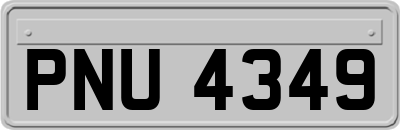 PNU4349