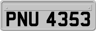 PNU4353