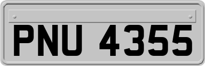 PNU4355
