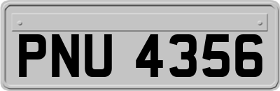PNU4356