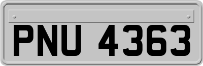 PNU4363