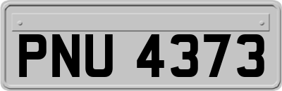 PNU4373