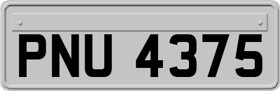 PNU4375