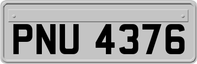 PNU4376