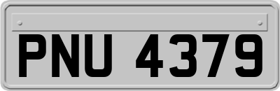 PNU4379