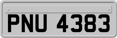 PNU4383