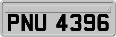 PNU4396