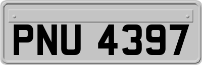 PNU4397