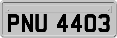 PNU4403
