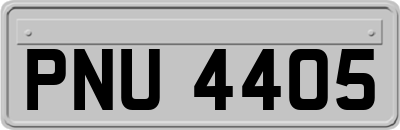 PNU4405