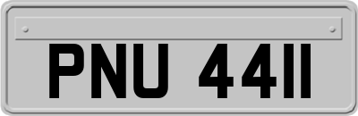 PNU4411
