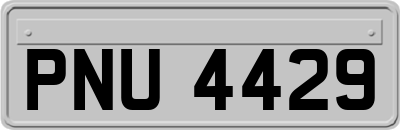 PNU4429