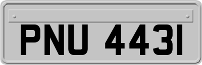 PNU4431