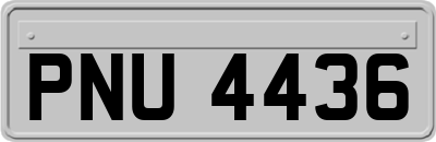 PNU4436