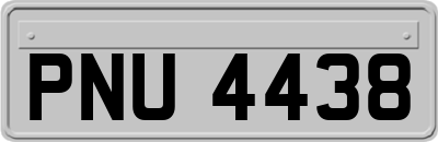 PNU4438