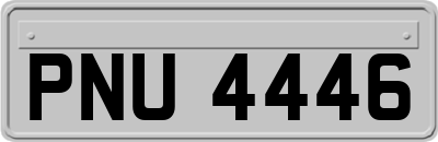 PNU4446